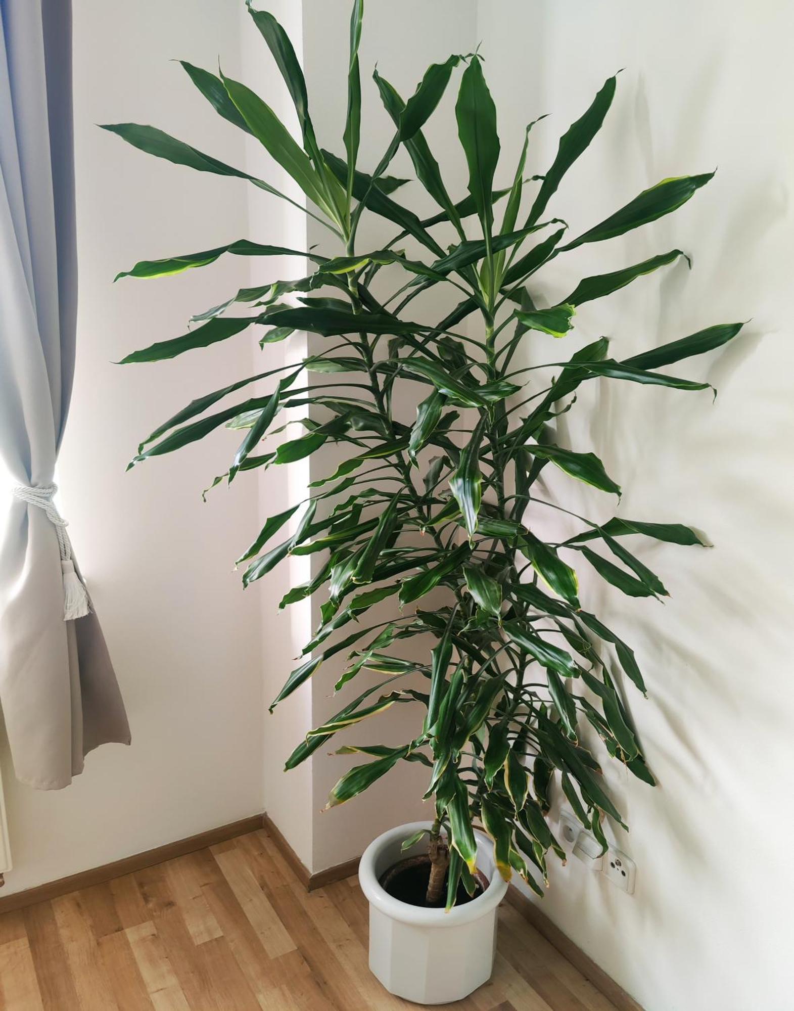 Apartmán Double King Size Sunny In Castle Area